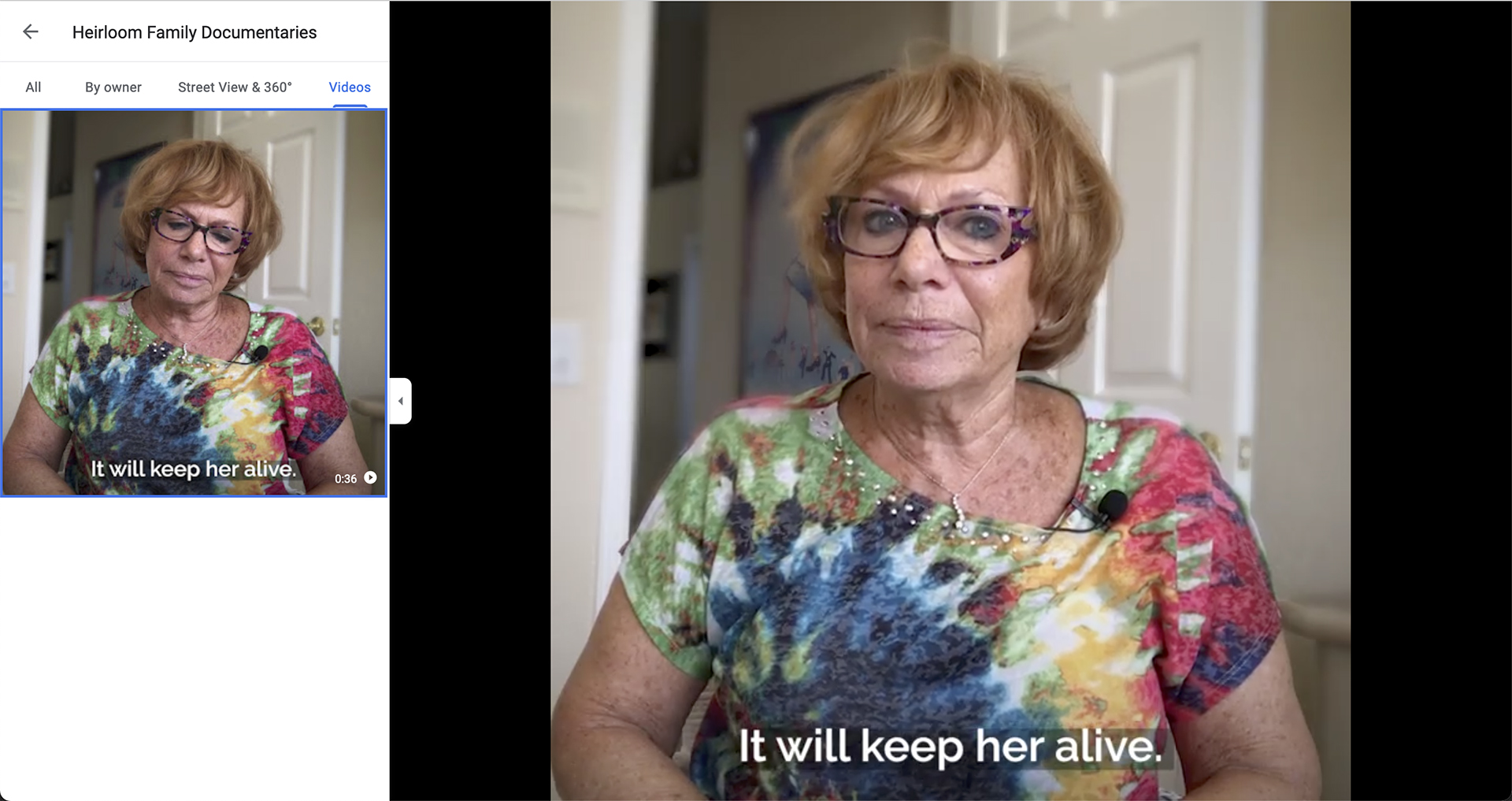 Google My Business Video Example